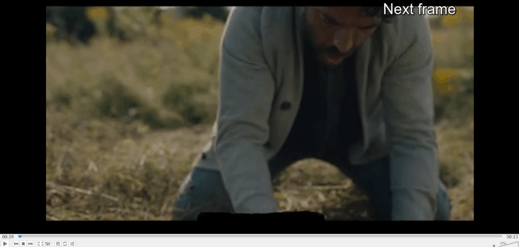 advancing franme by frame on a paused video using E key