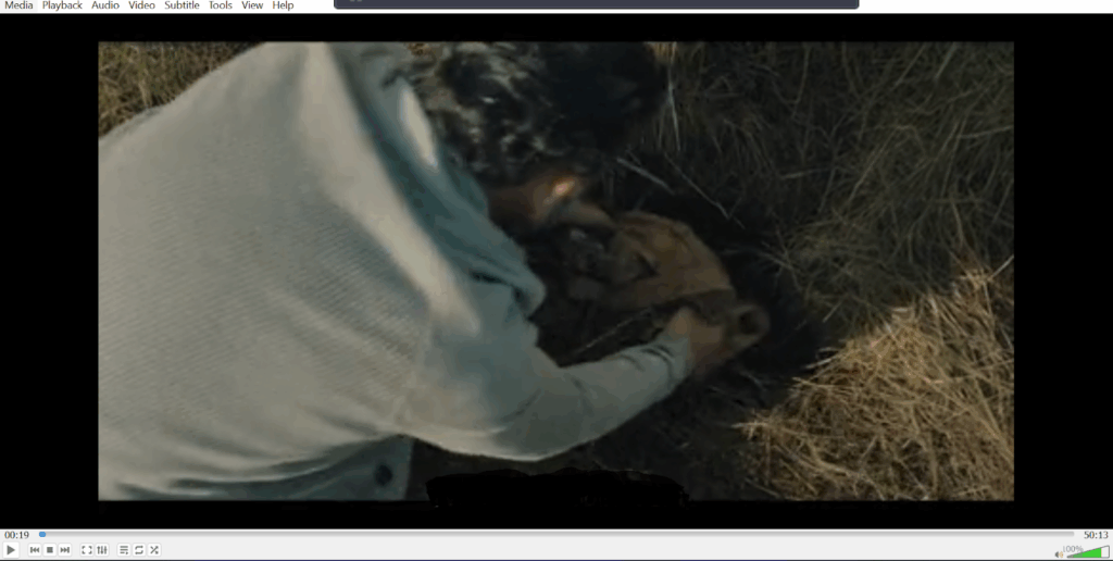 open the video in VLC media player